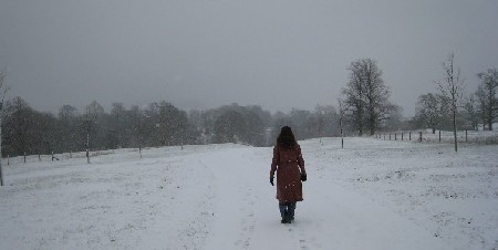 IMG_6550.JPG