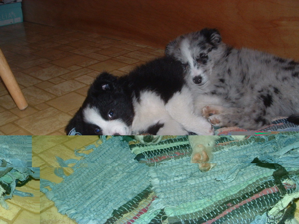 twocuties.jpg